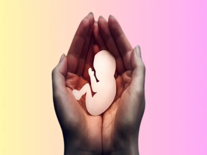 غربالگری جنین