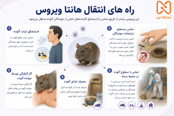 انتقال هانتا ویروس